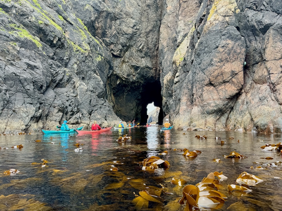 A Postcard from Shetland