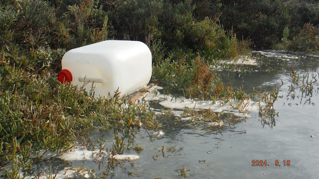 120 KILOS DE BASURALEZA EN EL CAÑO CARRASCON, ANTIGUA SALINA DE SAN FRANCISCO