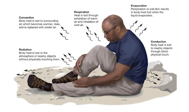 EMS Environmental Emergencies – Mechanisms of Heat Loss