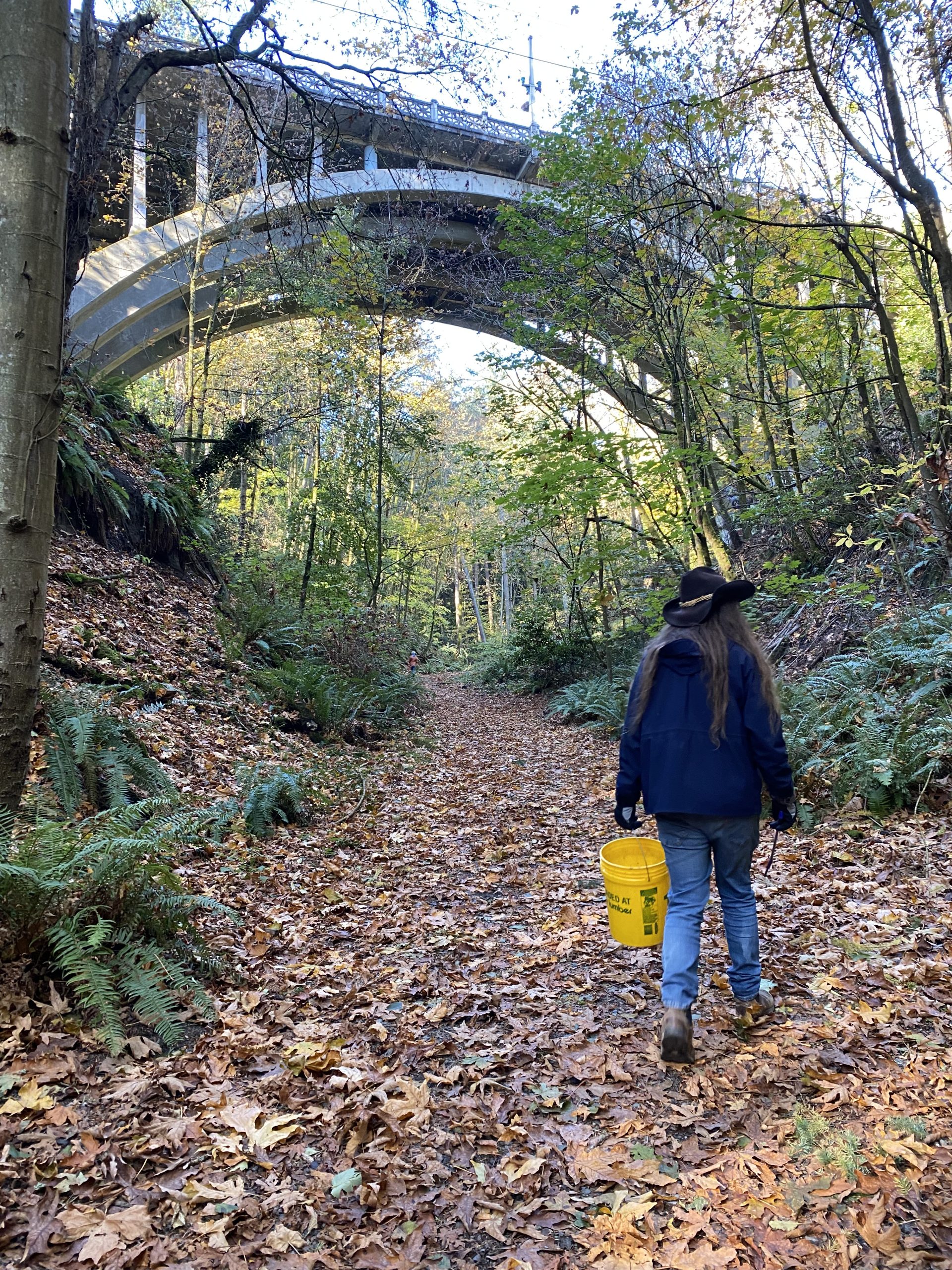 Puget Creek Return