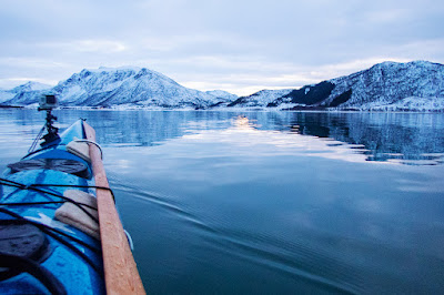 Selsafari i Roksøyfjorden